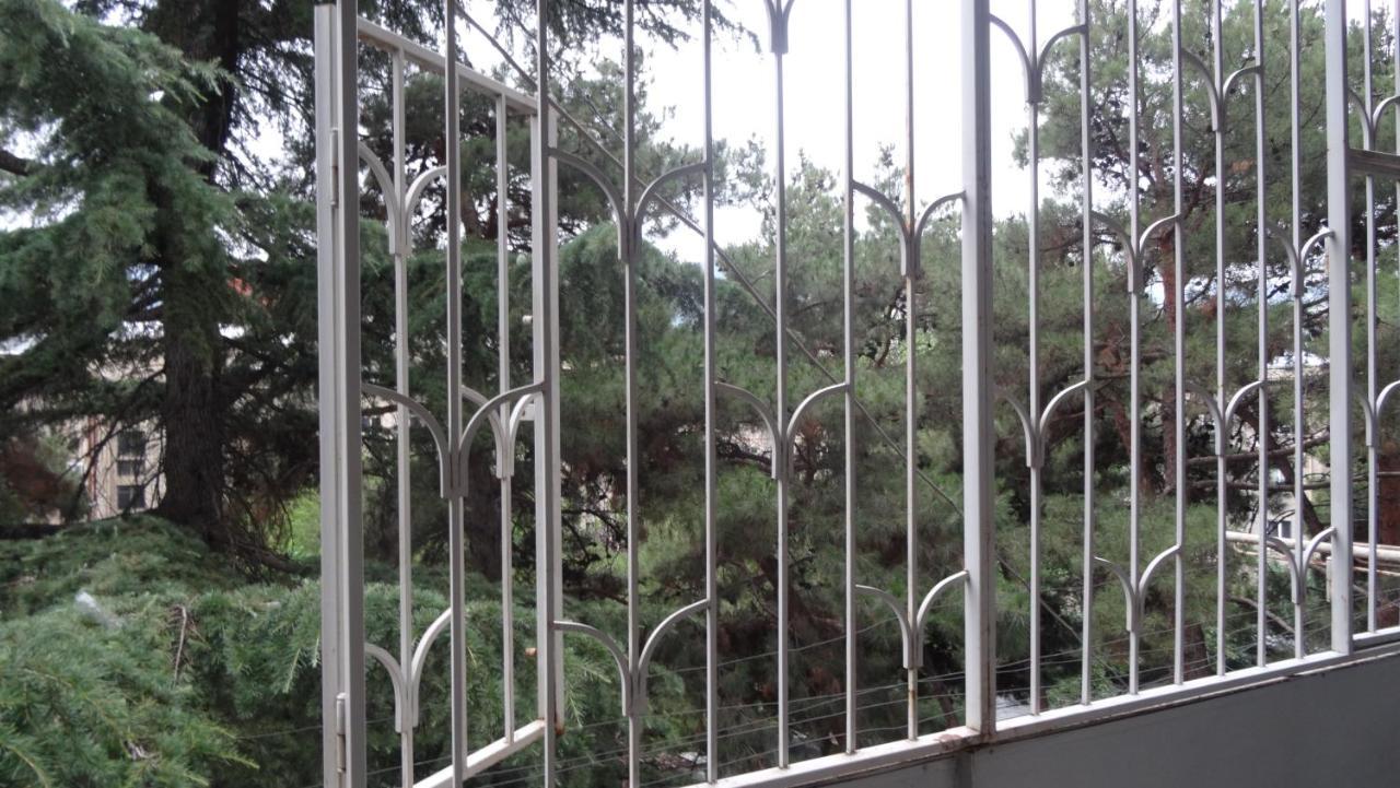 Apartment Vake-Saburtalo تبليسي المظهر الخارجي الصورة